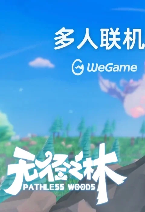 无径之林(联机版)加速