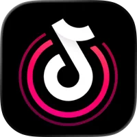 抖音直播伴侣加速